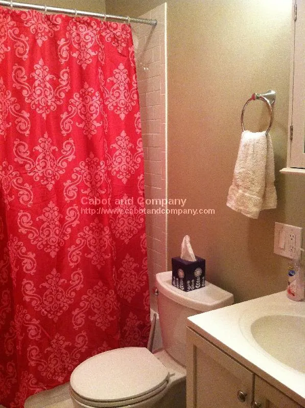 1 bed, 1 bath apartment for rent at 143 Worcester St Unit 11, South End — photo 8 of 10