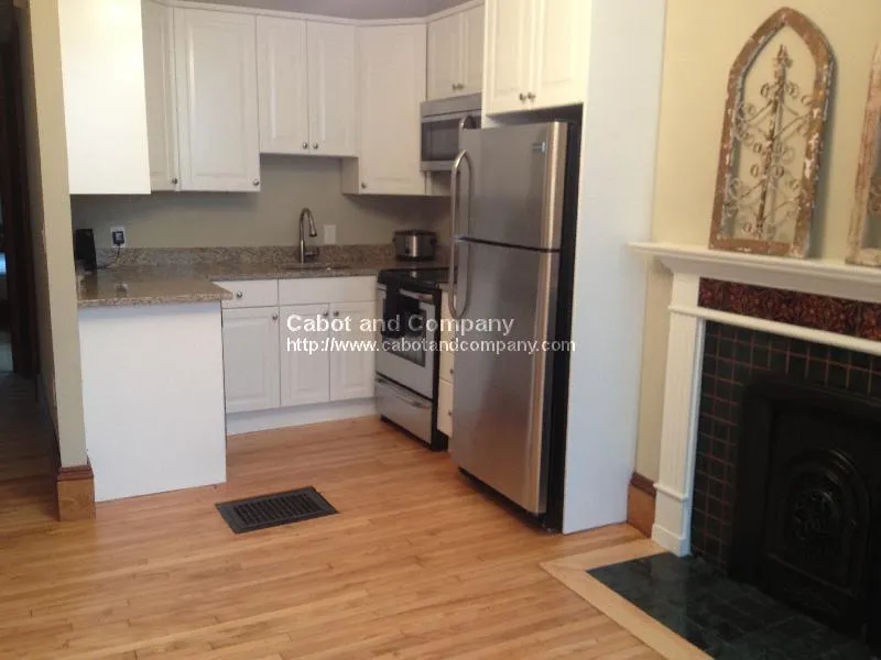 1 bed, 1 bath apartment for rent at 143 Worcester St Unit 11, South End — photo 4 of 10