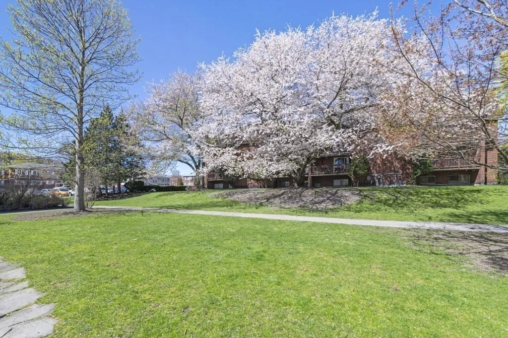 2 bed, 1 bath apartment for rent at 144 Kenrick St Unit 12, Oak Square — photo 32 of 34