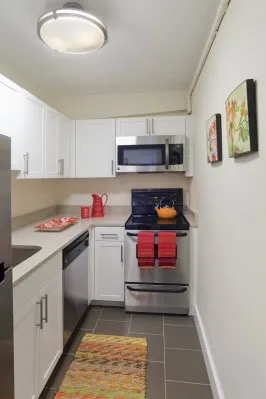 1 bed, 1 bath apartment for rent at 1440 Beacon St Unit 144-214, Corey Hill — photo 4 of 9
