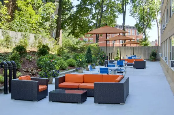 1 bed, 1 bath apartment for rent at 1440 Beacon St Unit 144-214, Corey Hill — photo 6 of 9