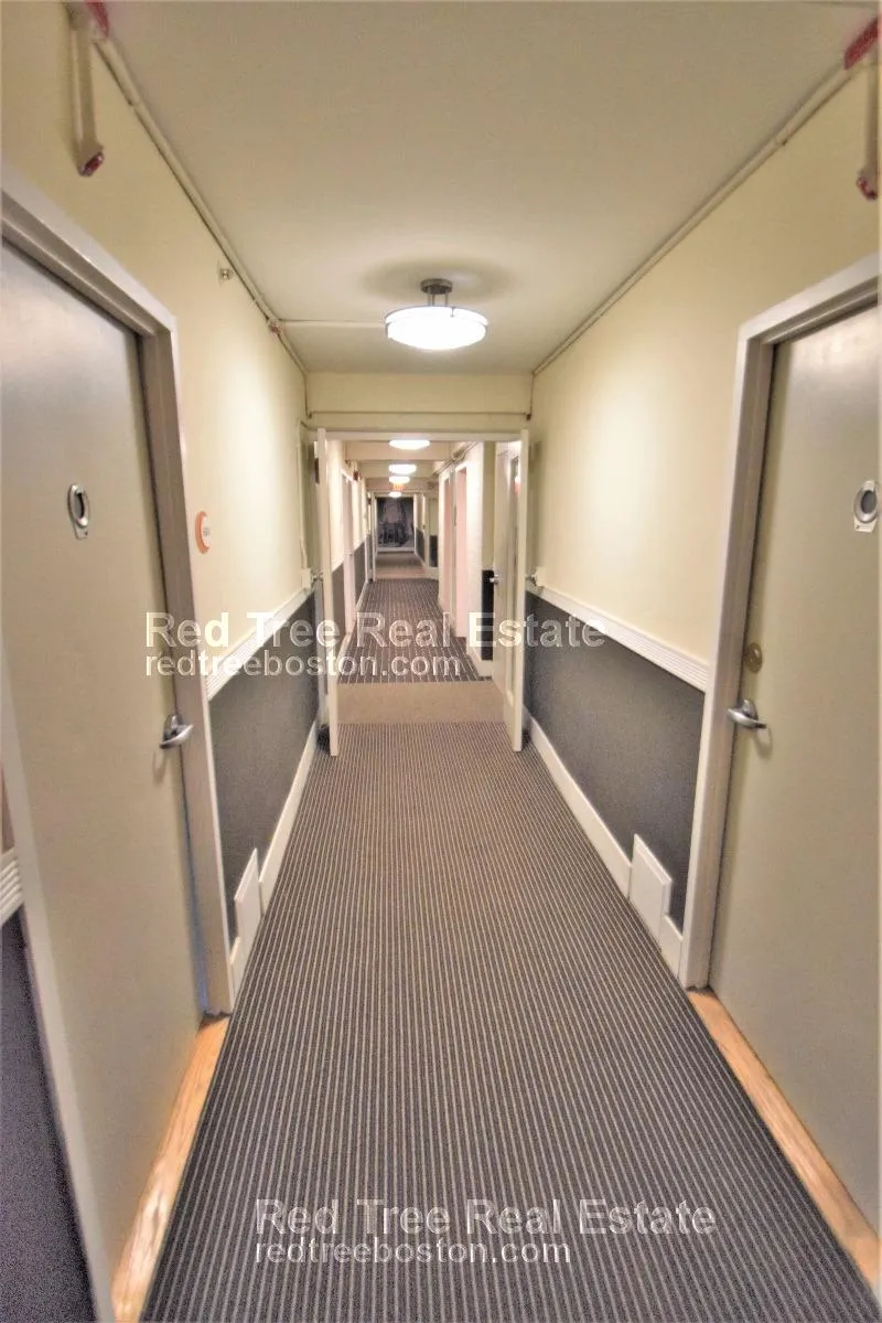 1 bed, 1 bath apartment for rent at 1440 Beacon St Unit 301, Corey Hill — photo 13 of 14