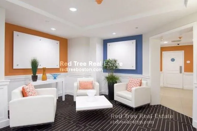 1 bed, 1 bath apartment for rent at 1440 Beacon St Unit 301, Corey Hill — photo 6 of 14