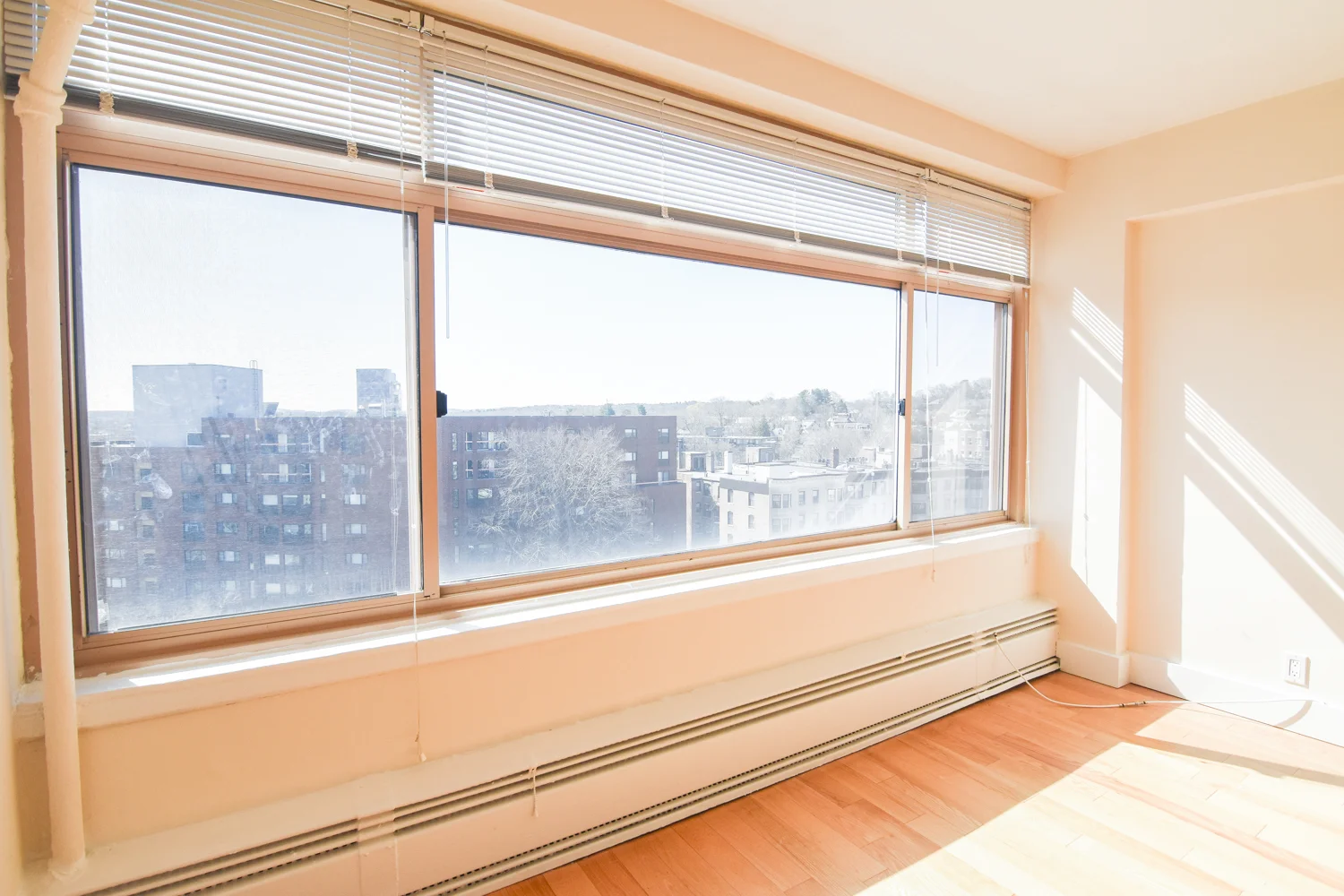 Studio bed, 1 bath apartment for rent at 1440 Beacon St Unit 807, Coolidge Corner — photo 2 of 15