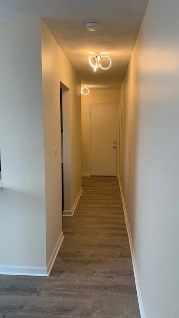 1 bed, 1 bath apartment for rent at 1440 Columbia Rd Unit 6, South Boston — photo 21 of 21