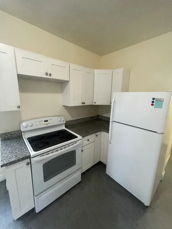 2 bed, 1 bath apartment for rent at 1441 Tremont St Unit 2, Mission Hill — photo 4 of 14