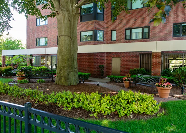 1 bed, 1 bath apartment for rent at 1443 Beacon St Unit 307, Coolidge Corner — photo 23 of 24