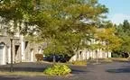 1 bed, 1 bath apartment for rent at 1449 Main St Unit 1-2724, West End — photo 4 of 20