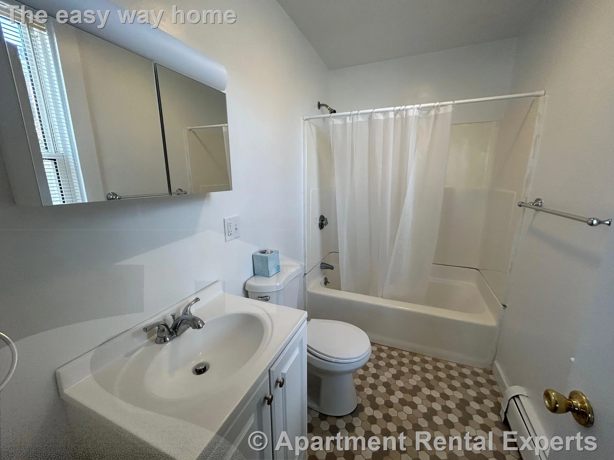 Studio bed, 1 bath apartment for rent at 145 Highland Ave Unit 3, Spring Hill — photo 6 of 8