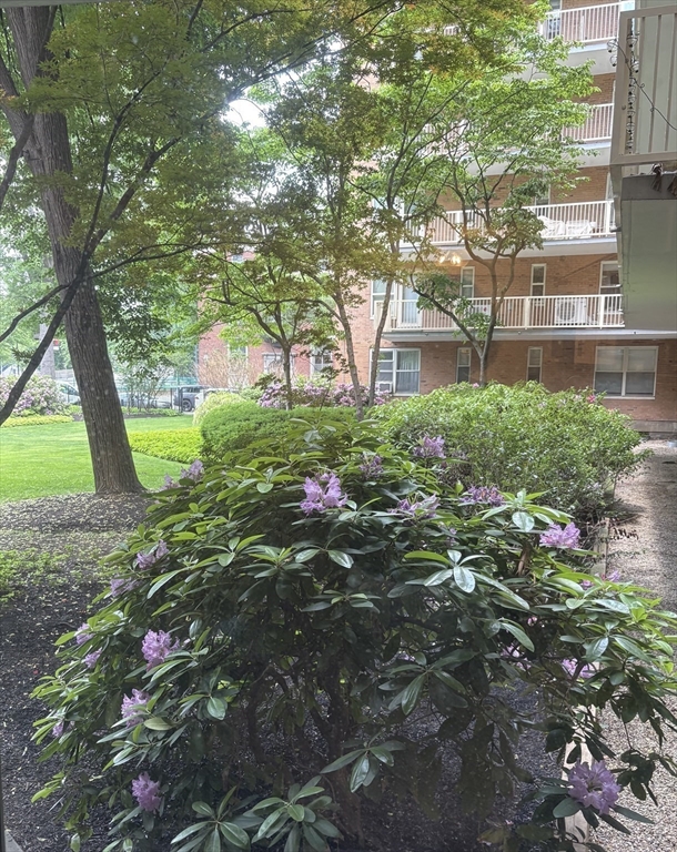 1 bed, 1 bath apartment for rent at 145 Pinckney Unit 102, Beacon Hill — photo 8 of 10