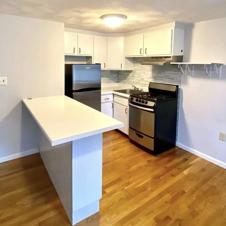 1 bed, 1 bath apartment for rent at 145 Princeton St Unit 2, East Boston — photo 2 of 5