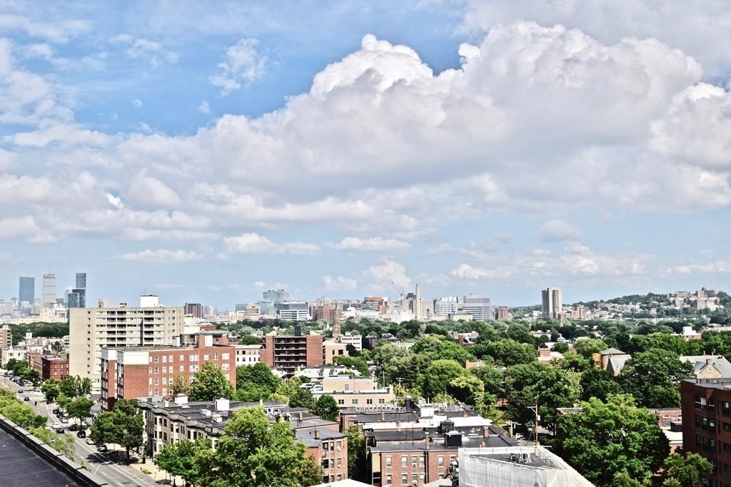 2 bed, 1 bath apartment for rent at 1450 Beacon St Unit 342, Corey Hill — photo 16 of 16