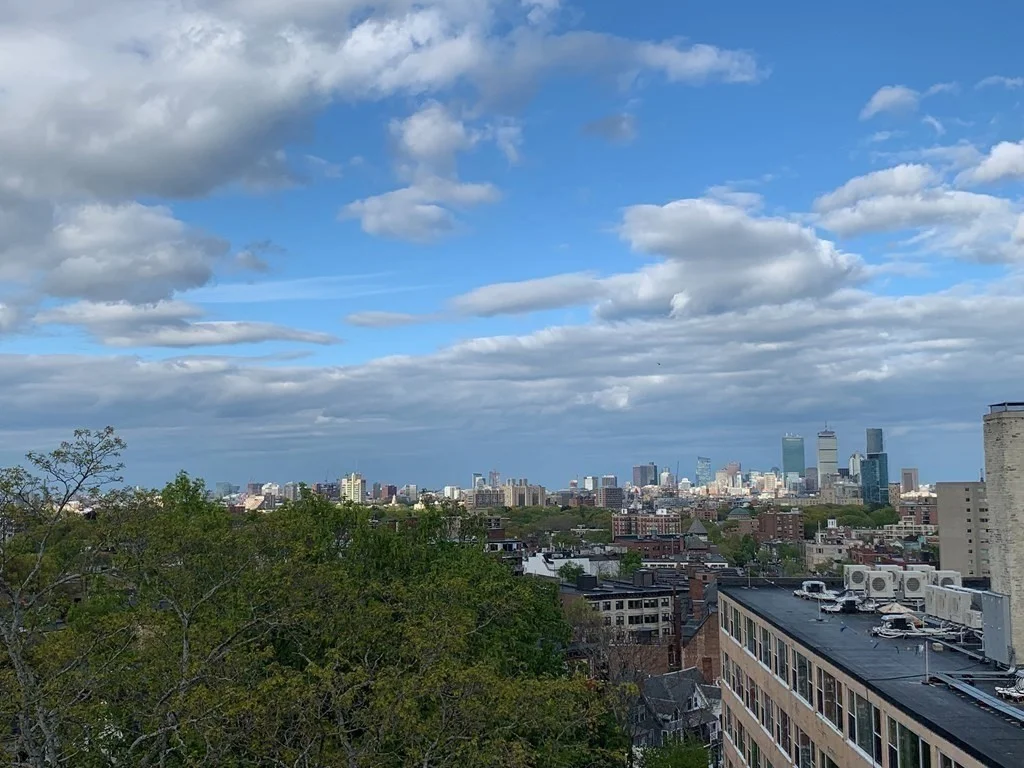 1 bed, 1 bath apartment for rent at 1450 Beacon St Unit 504, Coolidge Corner — photo 13 of 22