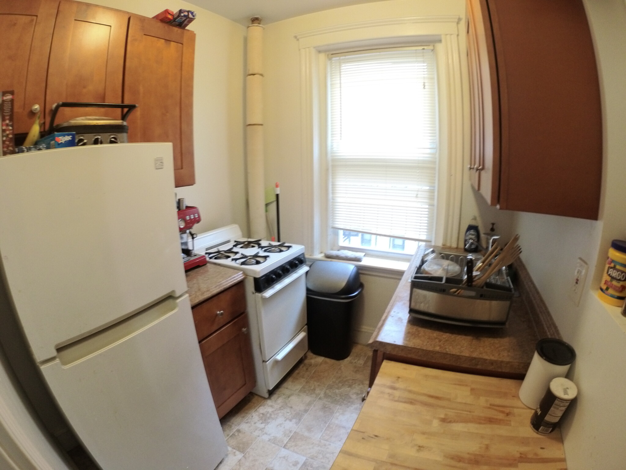 Studio bed, 1 bath apartment for rent at 1450 Commonwealth Ave Unit 11, Brighton
