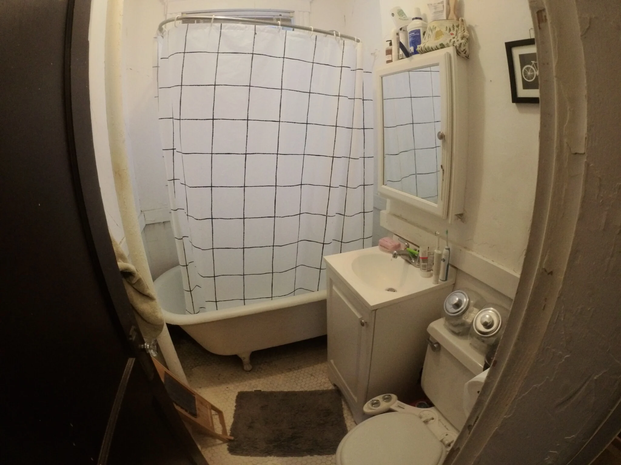 1 bed, 1 bath apartment for rent at 1450 Commonwealth Ave Unit 12, Brighton — photo 4 of 13