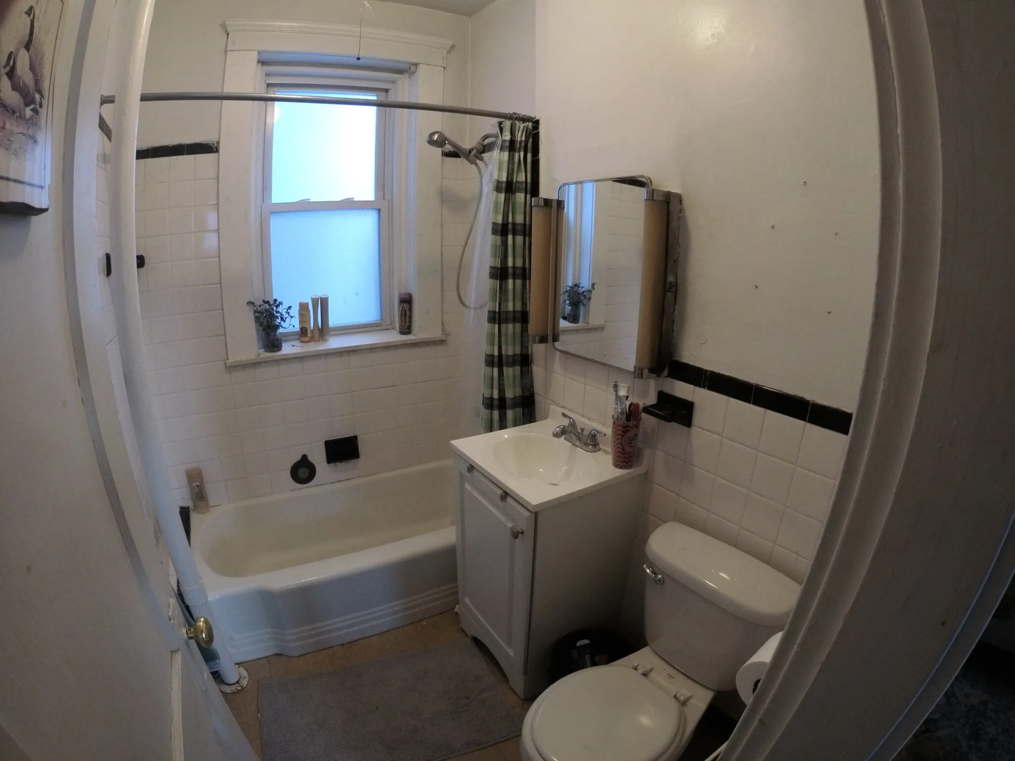 1 bed, 1 bath apartment for rent at 1450 Commonwealth Ave Unit 15, Brighton — photo 3 of 4