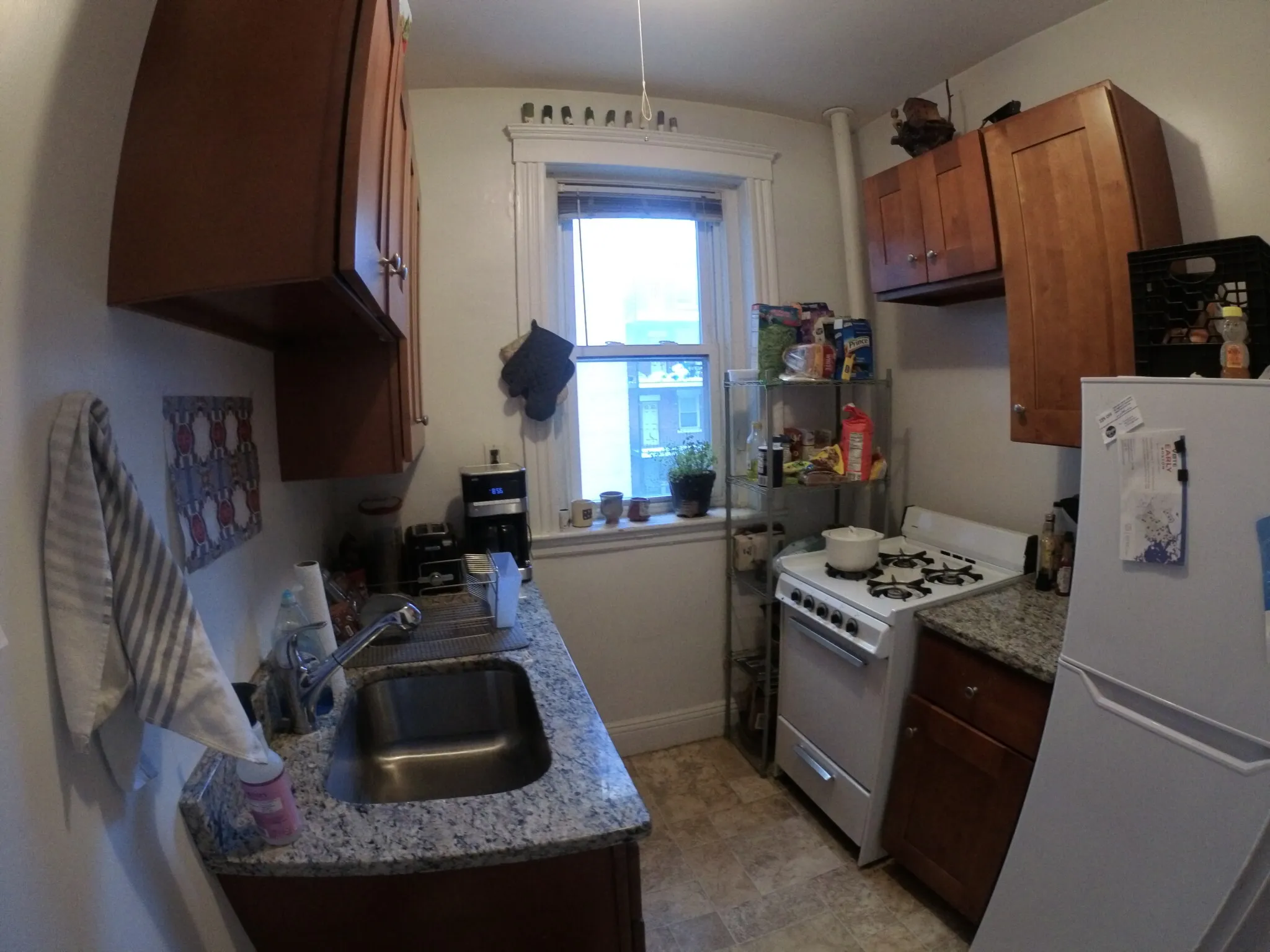 1 bed, 1 bath apartment for rent at 1450 Commonwealth Ave Unit 15, Brighton