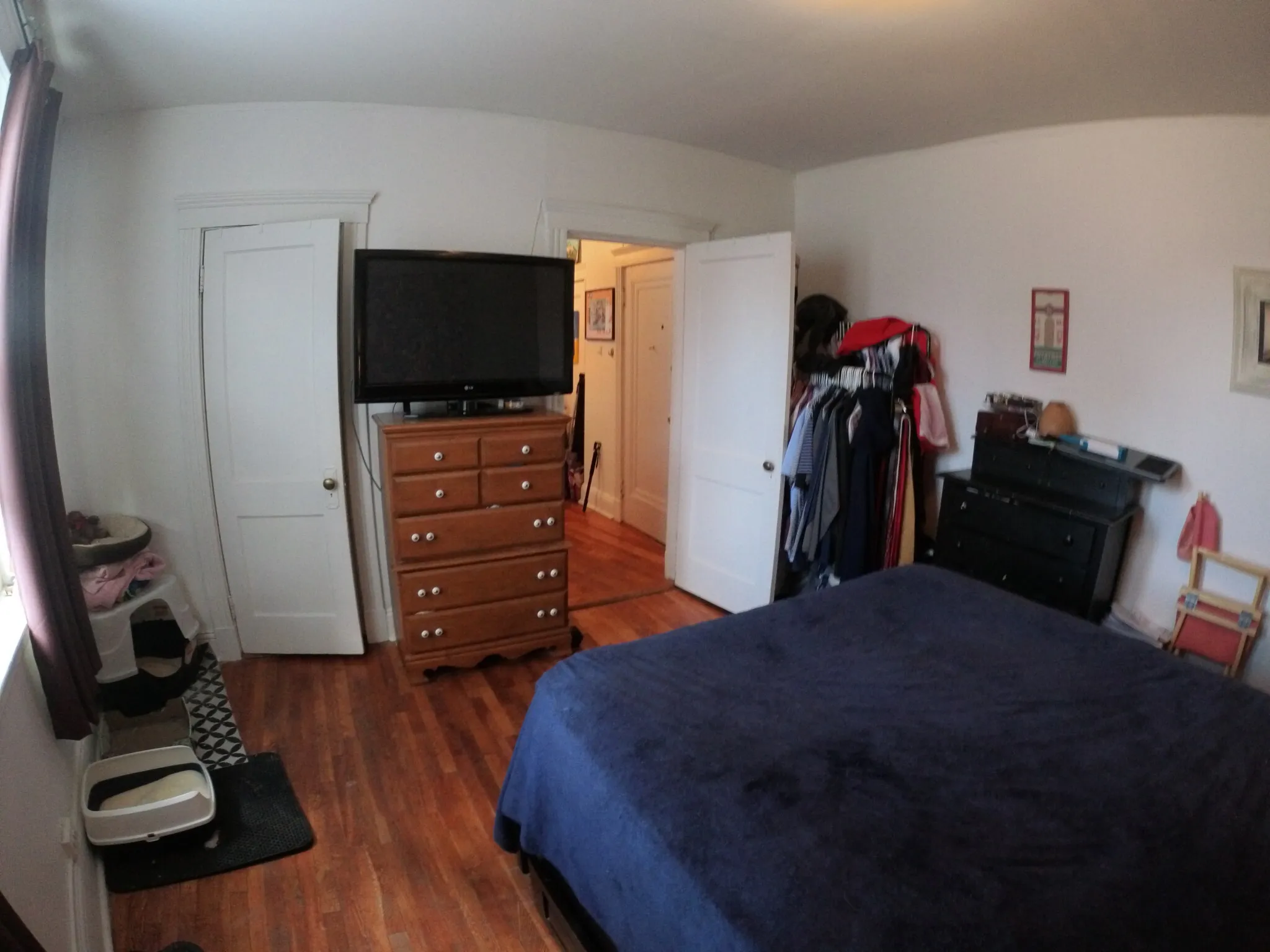 1 bed, 1 bath apartment for rent at 1450 Commonwealth Ave Unit 21, Brighton — photo 4 of 11