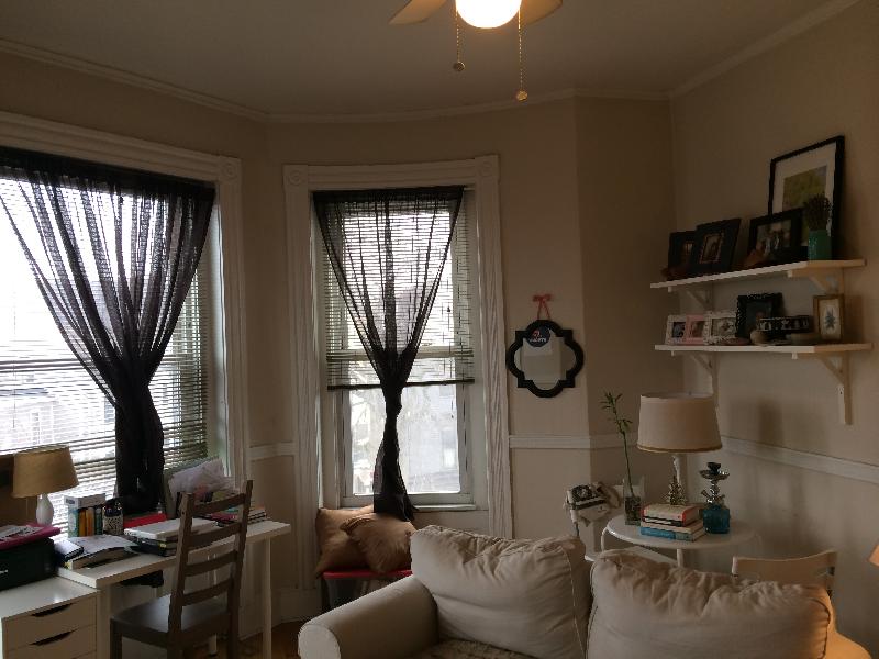 1 bed, 1 bath apartment for rent at 1451 Tremont St Unit 3F, Mission Hill — photo 5 of 7