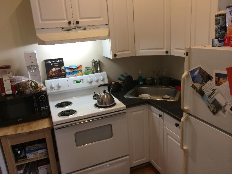 1 bed, 1 bath apartment for rent at 1451 Tremont St Unit 3F, Mission Hill — photo 3 of 7