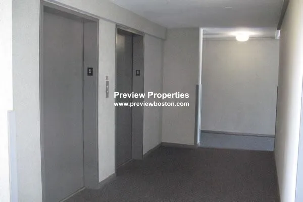 2 bed, 1 bath apartment for rent at 1455 Commonwealth Ave Unit 204P, Brighton — photo 5 of 16