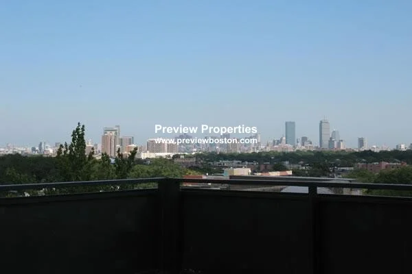 2 bed, 1 bath apartment for rent at 1455 Commonwealth Ave Unit 204P, Brighton — photo 16 of 16