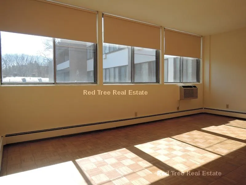 2 bed, 1 bath apartment for rent at 1455 Commonwealth Ave Unit 218, Brighton — photo 10 of 31