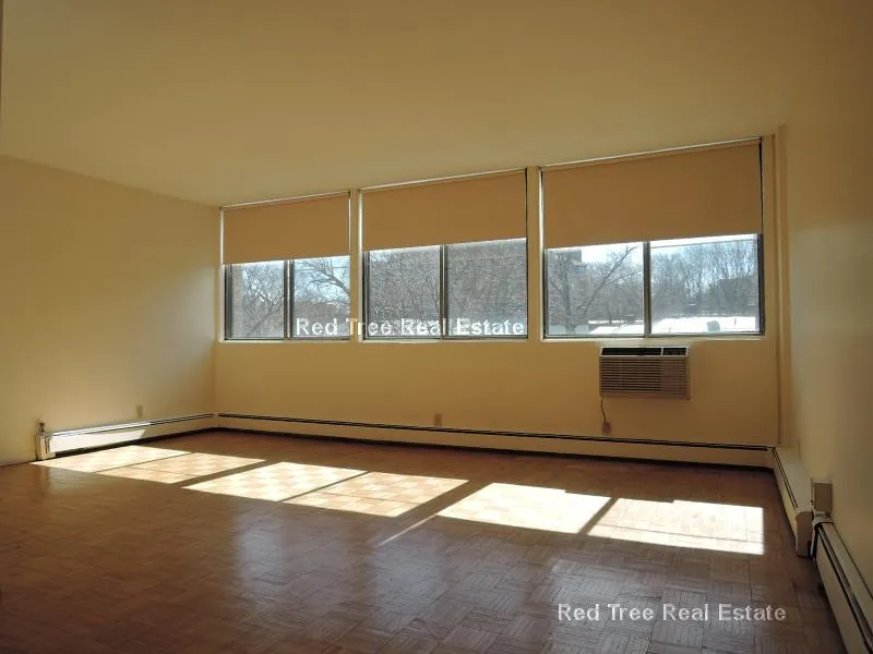 2 bed, 1 bath apartment for rent at 1455 Commonwealth Ave Unit 218, Brighton — photo 7 of 31