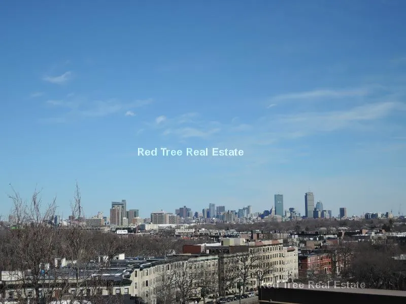 2 bed, 1 bath apartment for rent at 1455 Commonwealth Ave Unit 218, Brighton — photo 9 of 31
