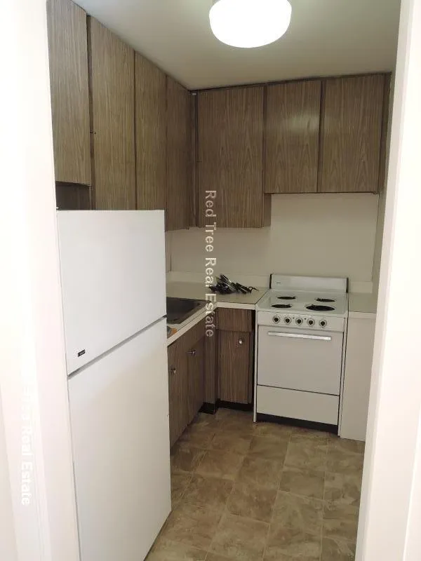 2 bed, 1 bath apartment for rent at 1455 Commonwealth Ave Unit 218, Brighton — photo 2 of 31