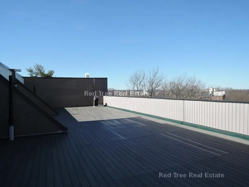 2 bed, 1 bath apartment for rent at 1455 Commonwealth Ave Unit 218, Brighton — photo 5 of 31
