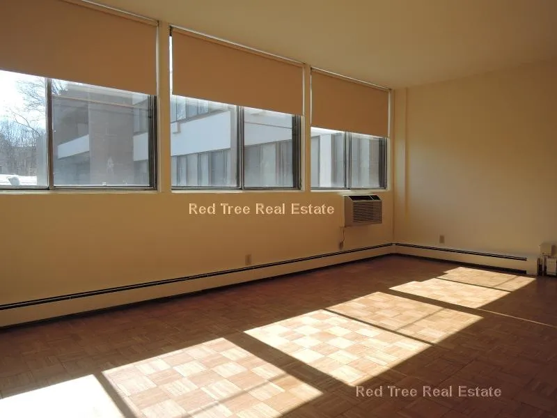 2 bed, 1 bath apartment for rent at 1455 Commonwealth Ave Unit 218, Brighton — photo 12 of 31