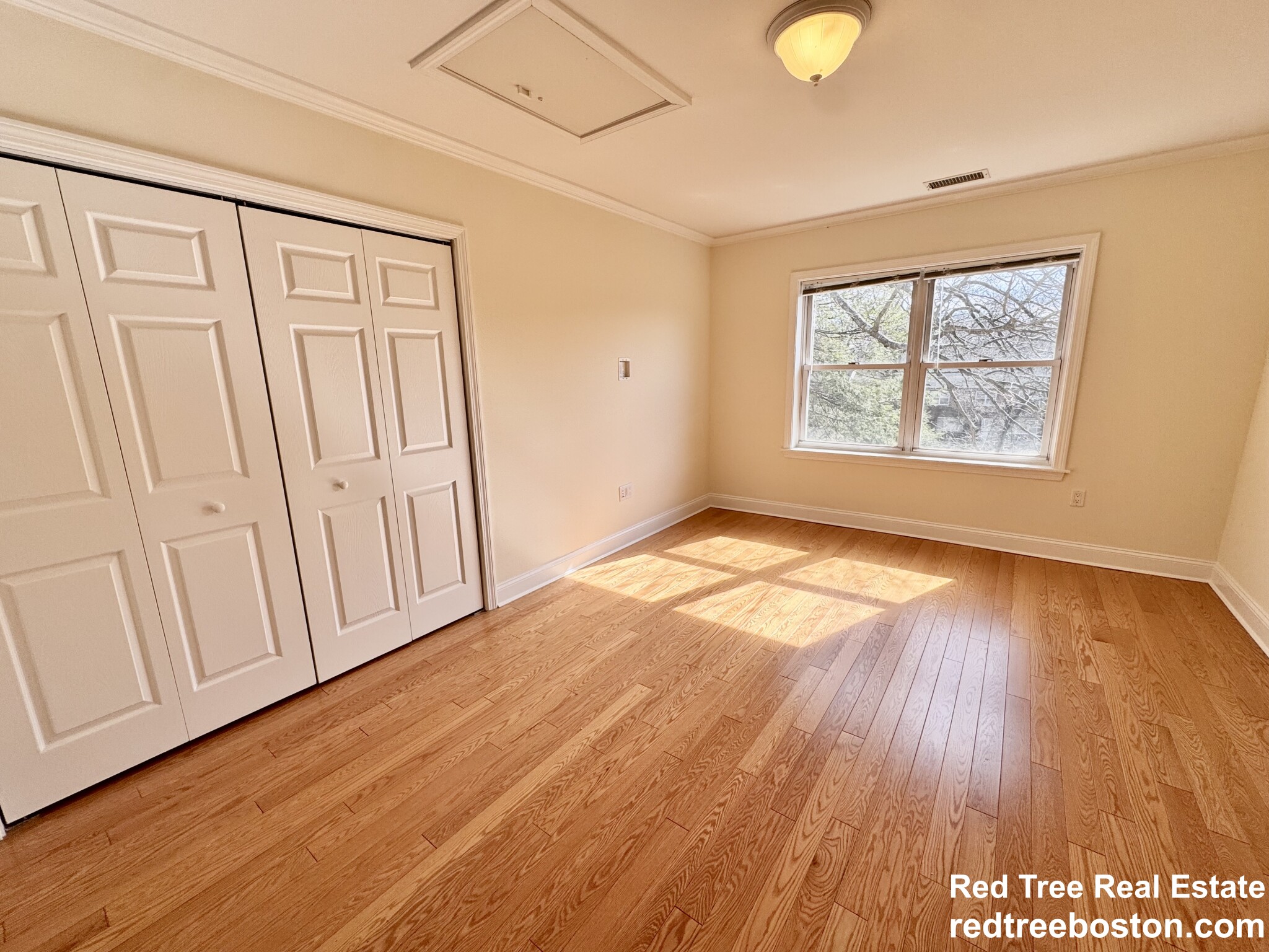 1 bed, 1 bath apartment for rent at 146 Independence Dr, Chestnut Hill — photo 6 of 18