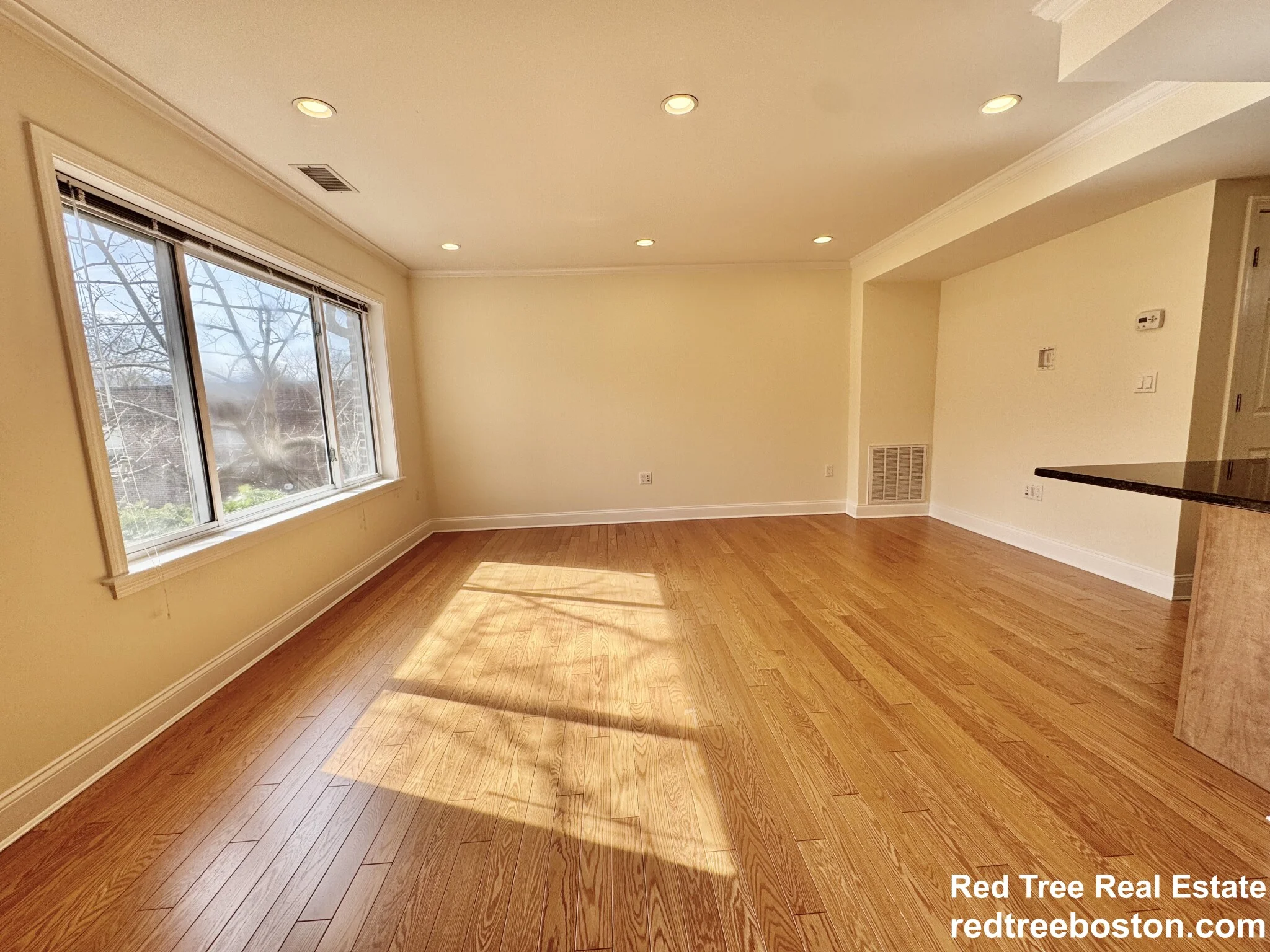 1 bed, 1 bath apartment for rent at 146 Independence Dr Unit 1, Chestnut Hill — photo 4 of 18