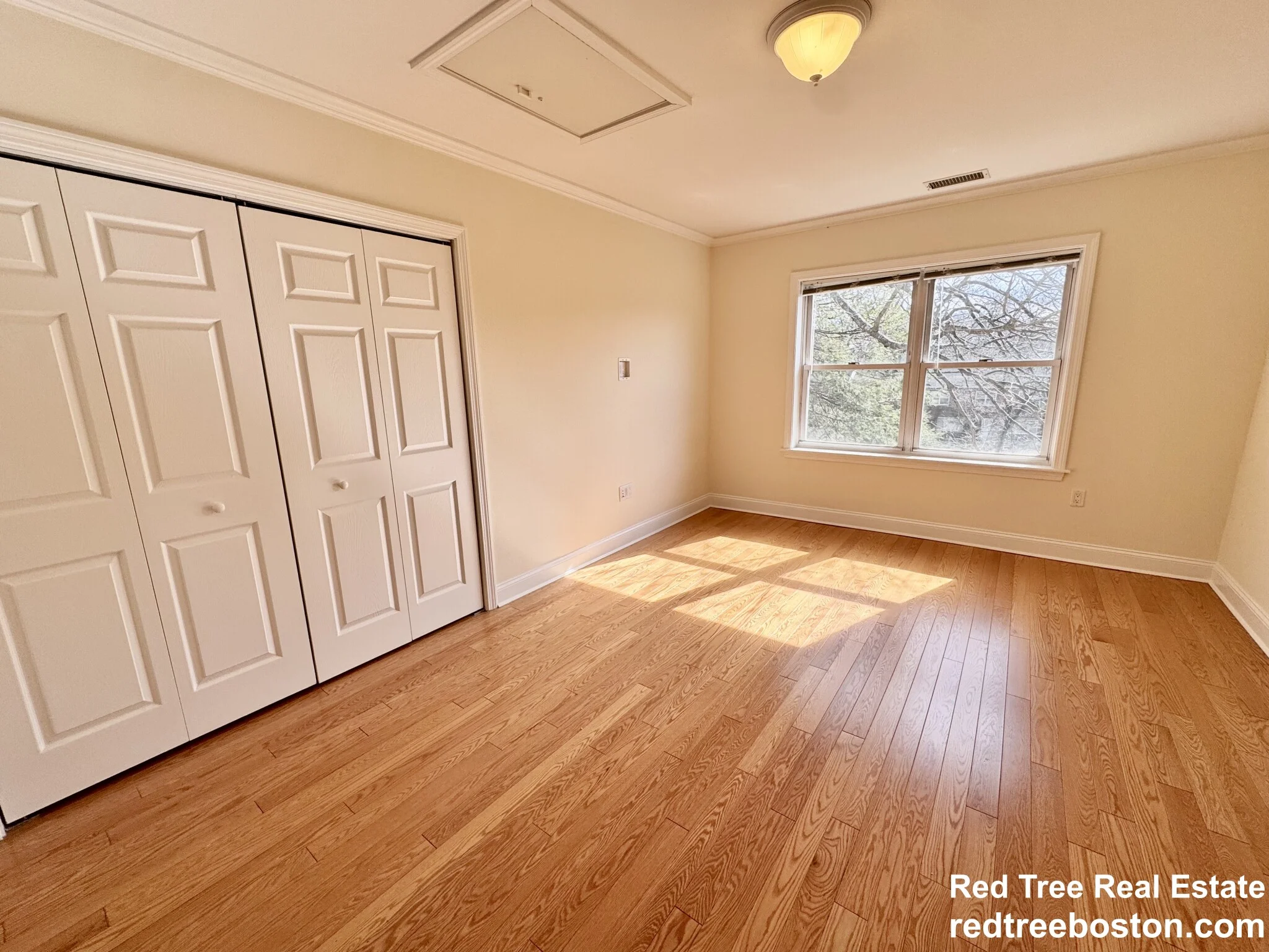 1 bed, 1 bath apartment for rent at 146 Independence Dr Unit 1, Chestnut Hill — photo 6 of 18