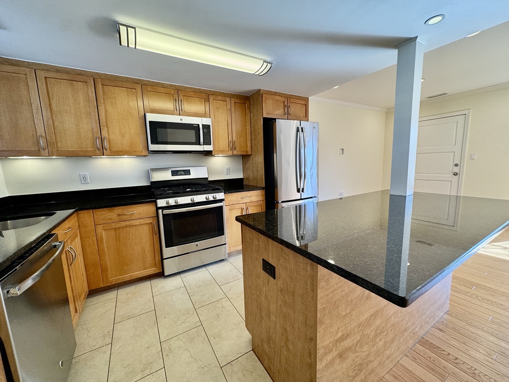 1 bed, 1 bath apartment for rent at 146 Independence Dr Unit 146, Chestnut Hill — photo 2 of 13