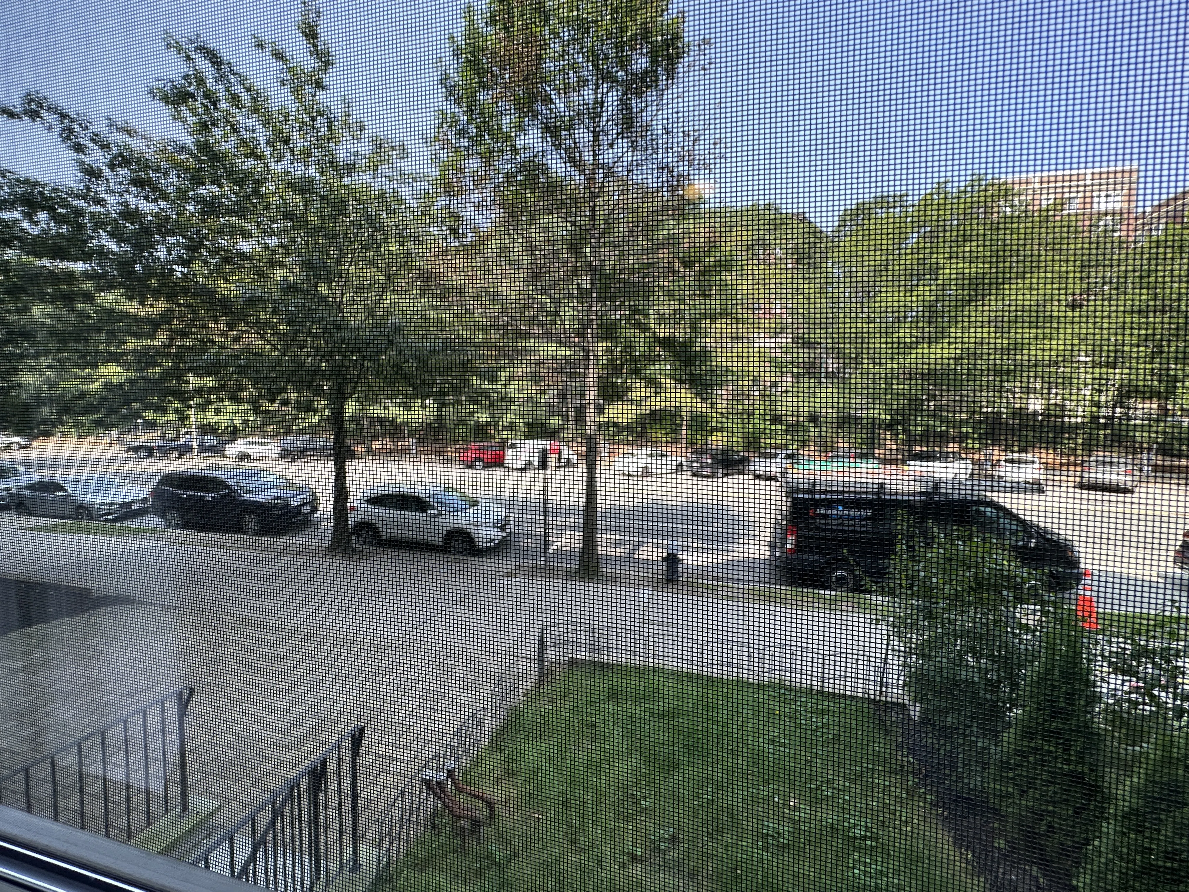 1 bed, 1 bath apartment for rent at 1463 Beacon St Unit 12D, Griggs Park — photo 15 of 15