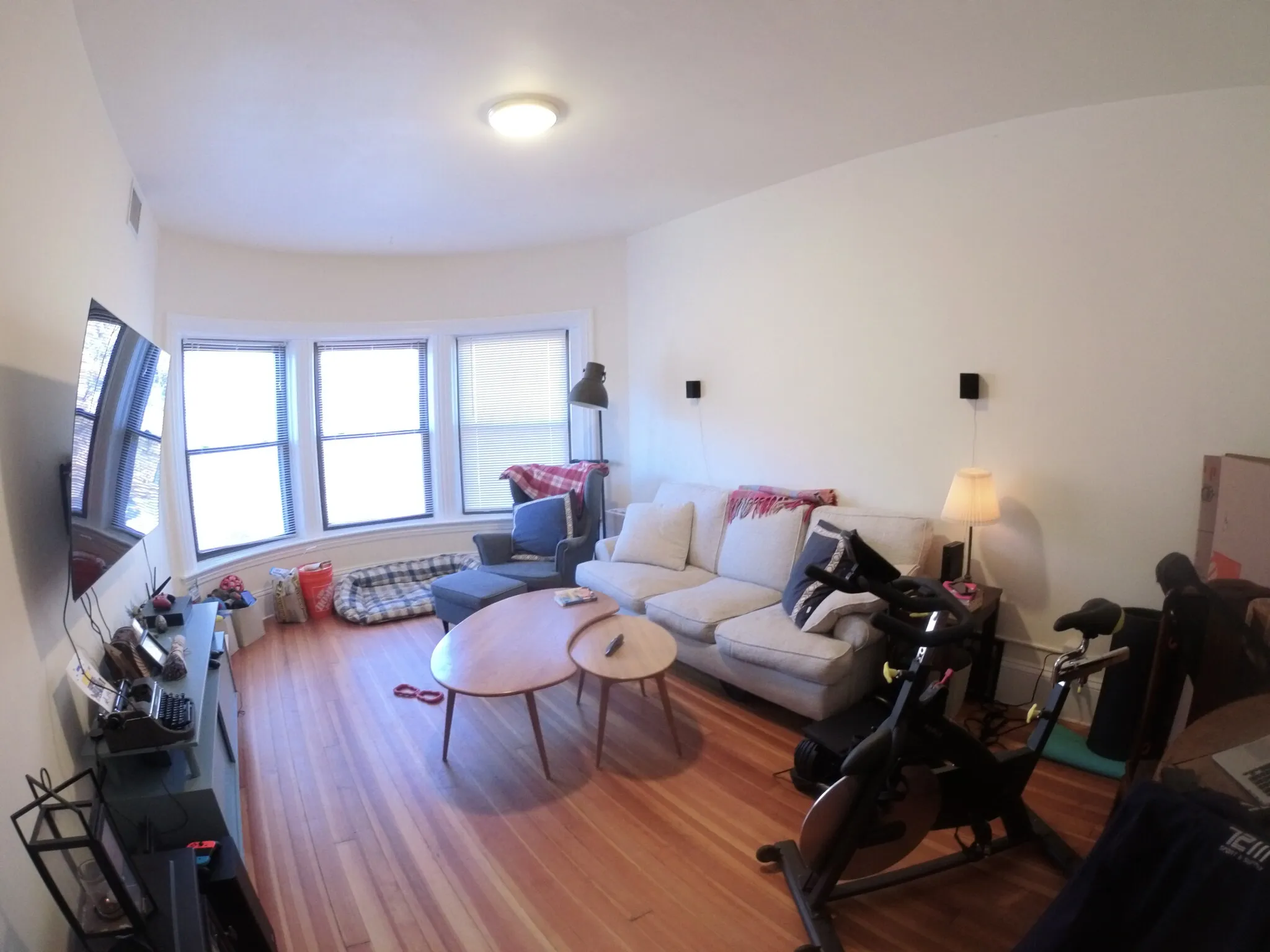 1 bed, 1 bath apartment for rent at 1463 Beacon St Unit 22, Griggs Park — photo 5 of 14