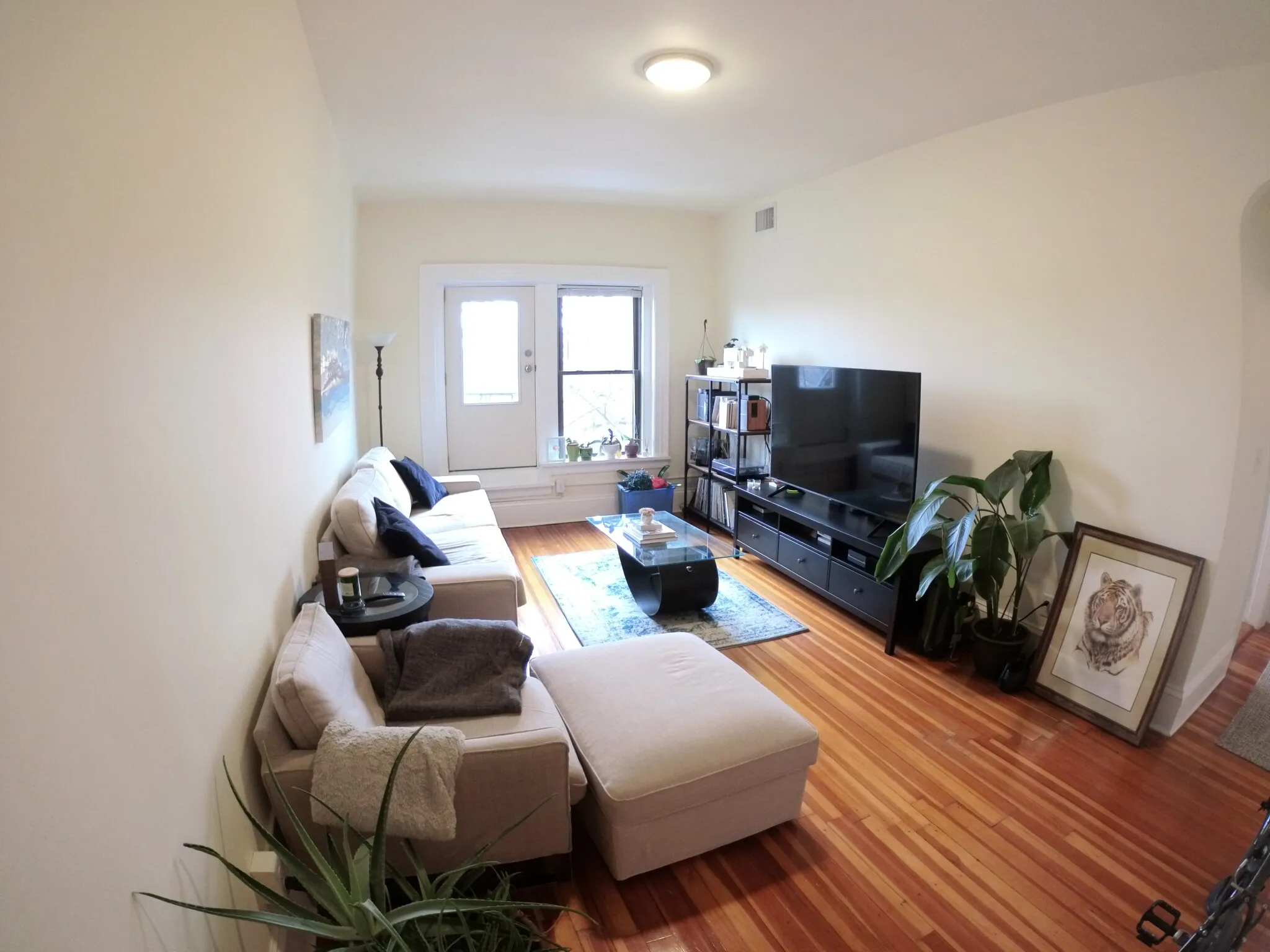 2 bed, 1 bath apartment for rent at 1463 Beacon St Unit 23, Griggs Park — photo 5 of 10