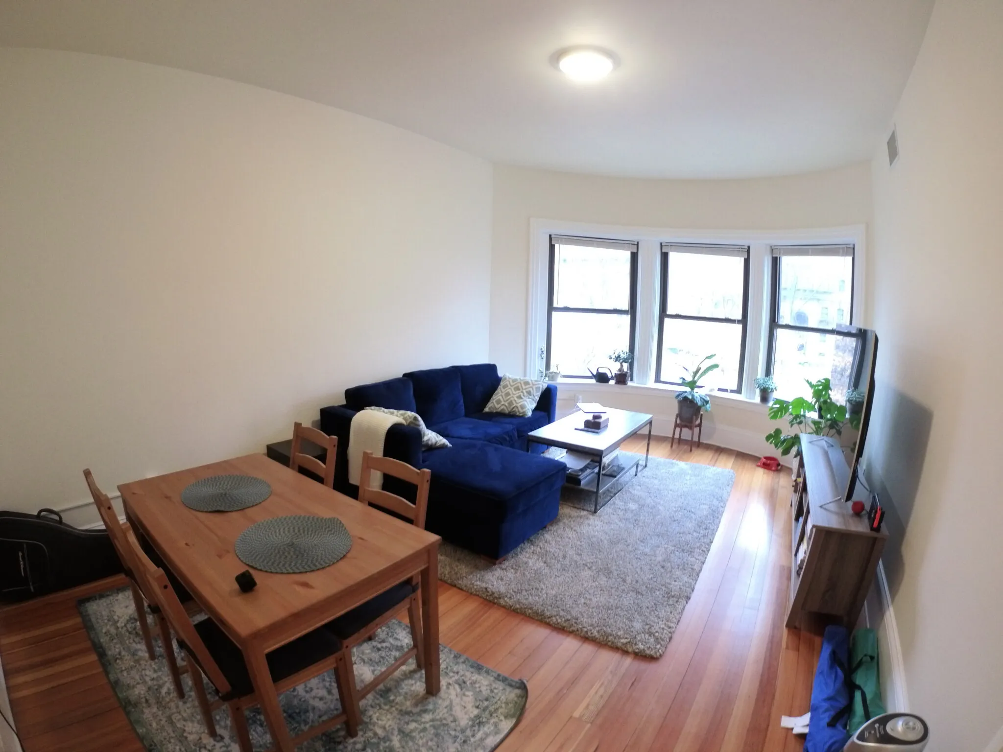 1 bed, 1 bath apartment for rent at 1463 Beacon St Unit 31, Griggs Park — photo 3 of 8