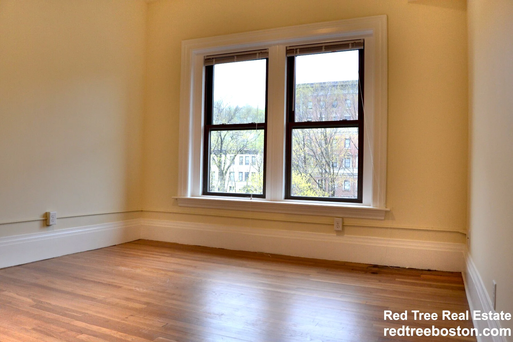 1 bed, 1 bath apartment for rent at 1463 Beacon St Unit 31A, Griggs Park — photo 4 of 8