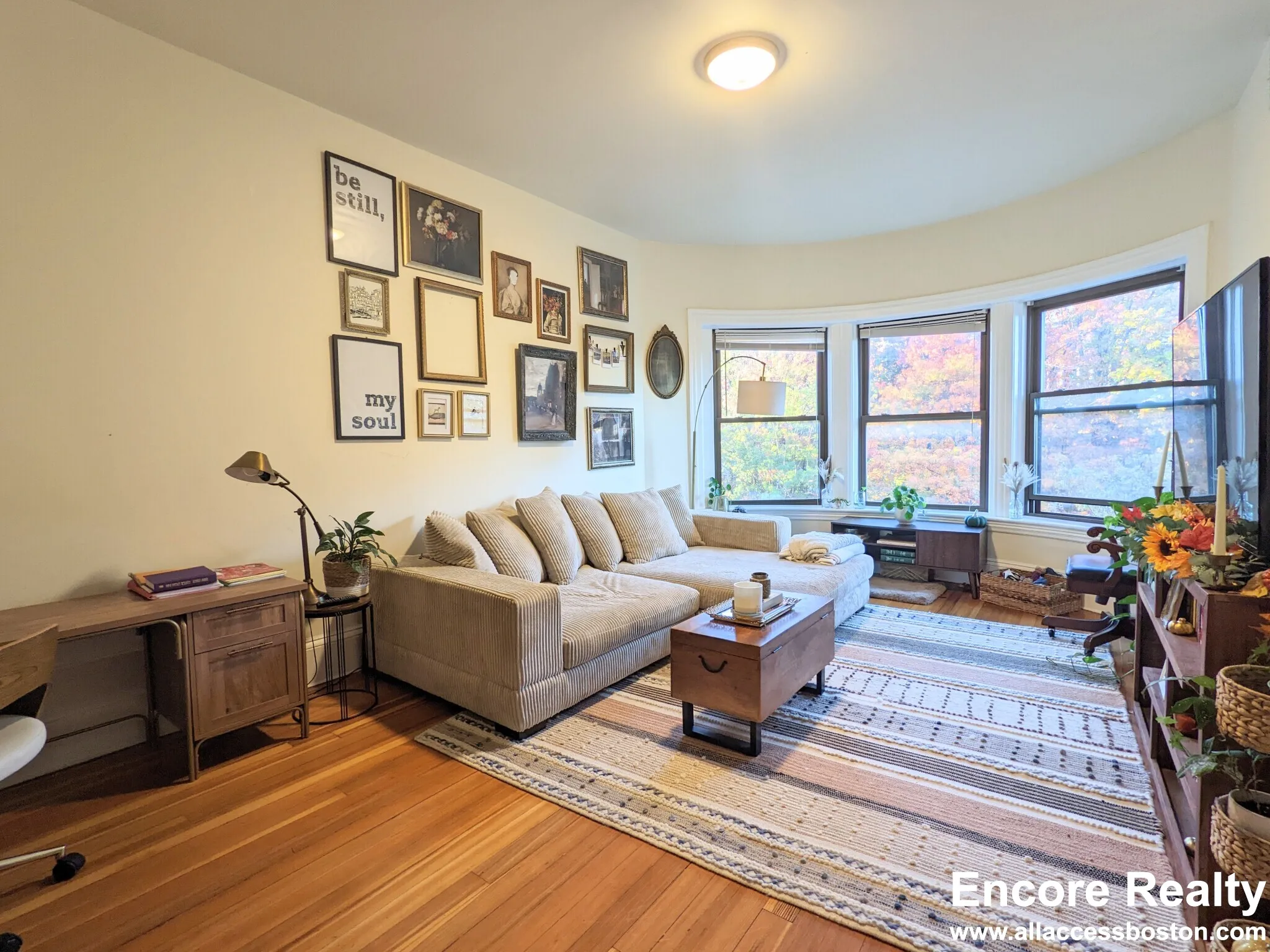 1 bed, 1 bath apartment for rent at 1463 Beacon St Unit 32, Griggs Park — photo 1 of 23