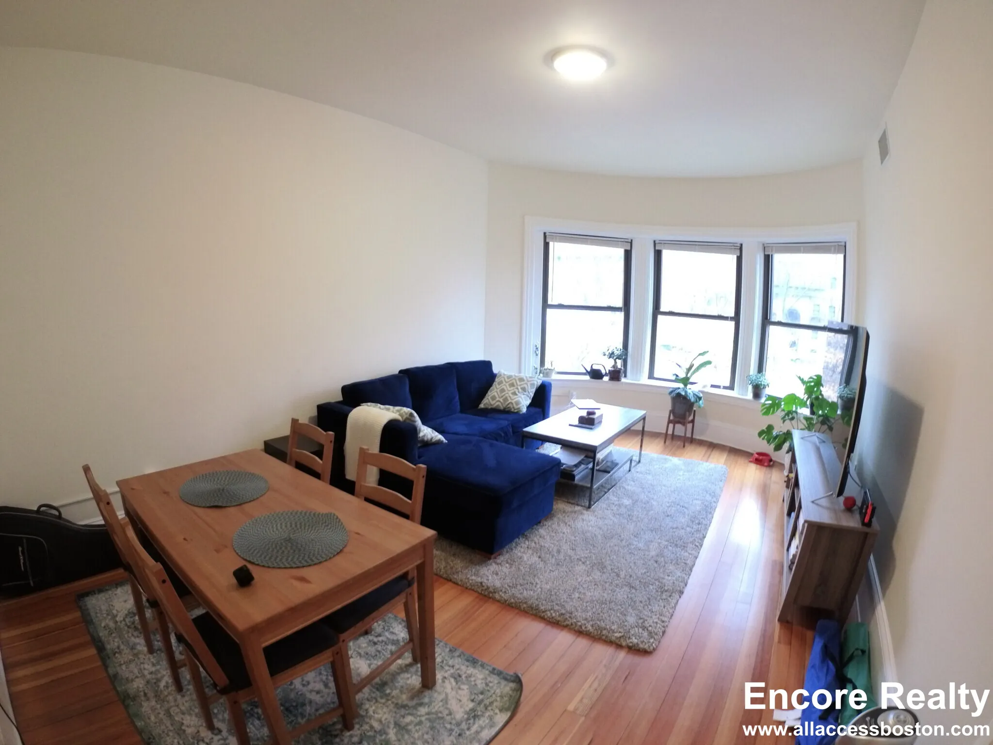 1 bed, 1 bath apartment for rent at 1463 Beacon St Unit 32, Griggs Park — photo 11 of 23