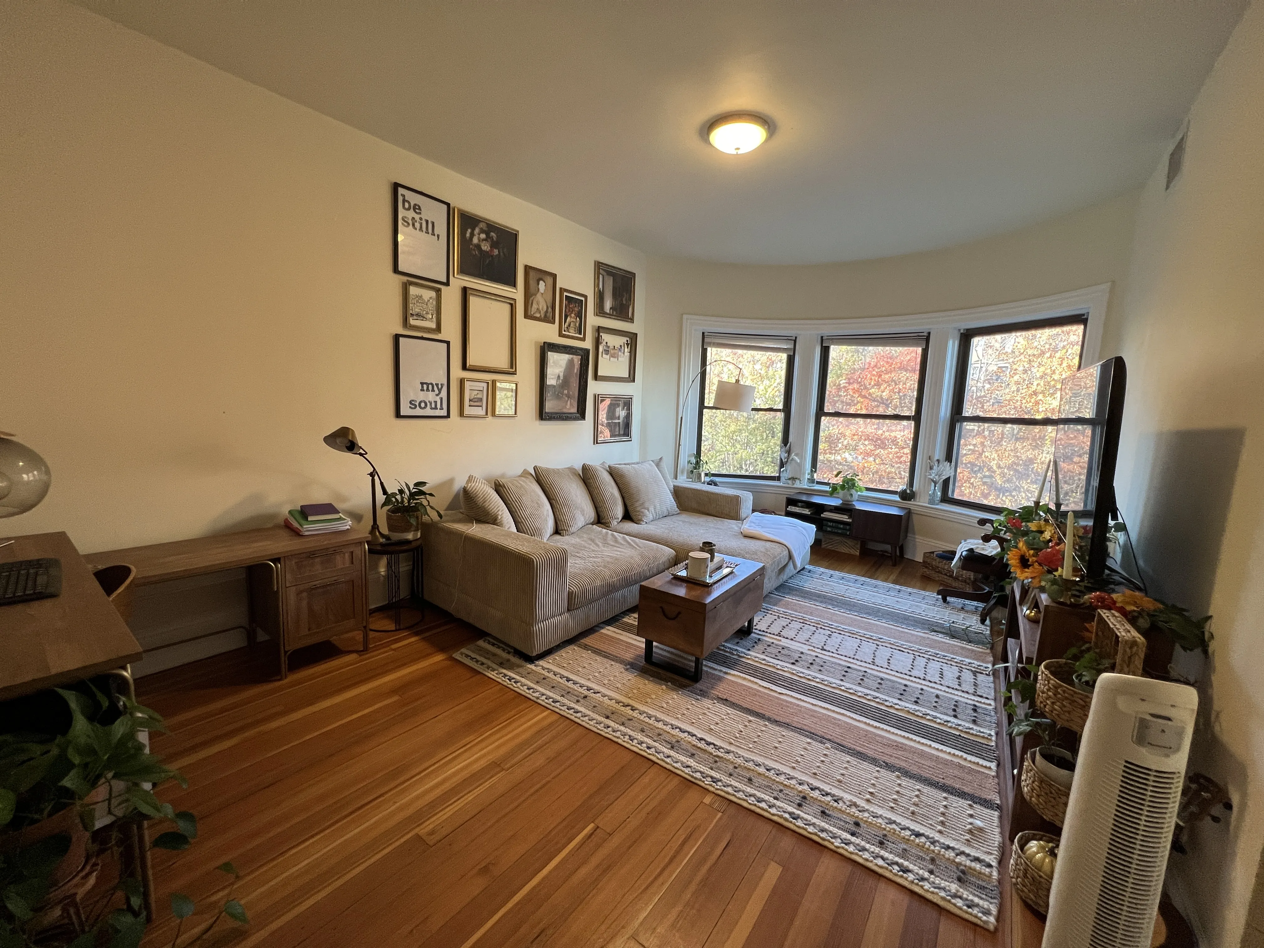 2 bed, 1 bath apartment for rent at 1463 Beacon St Unit 43, Griggs Park — photo 2 of 28