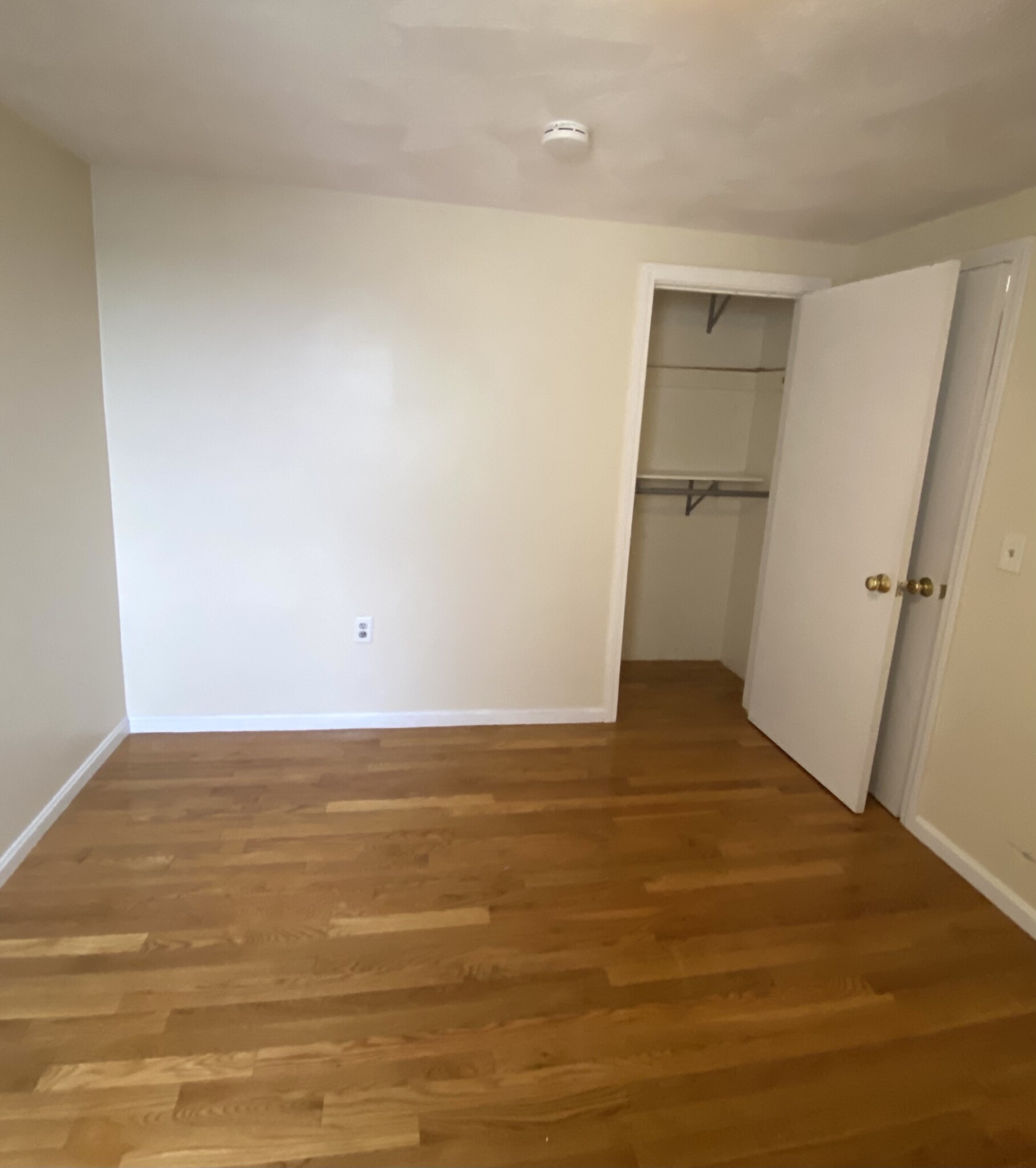 1 bed, 1 bath apartment for rent at 147 Princeton St Unit 3, East Boston — photo 7 of 10