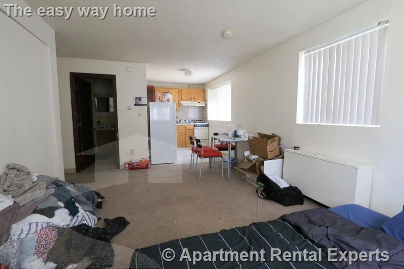 Studio bed, 1 bath apartment for rent at 147 Summer St Unit 22, Spring Hill — photo 3 of 11