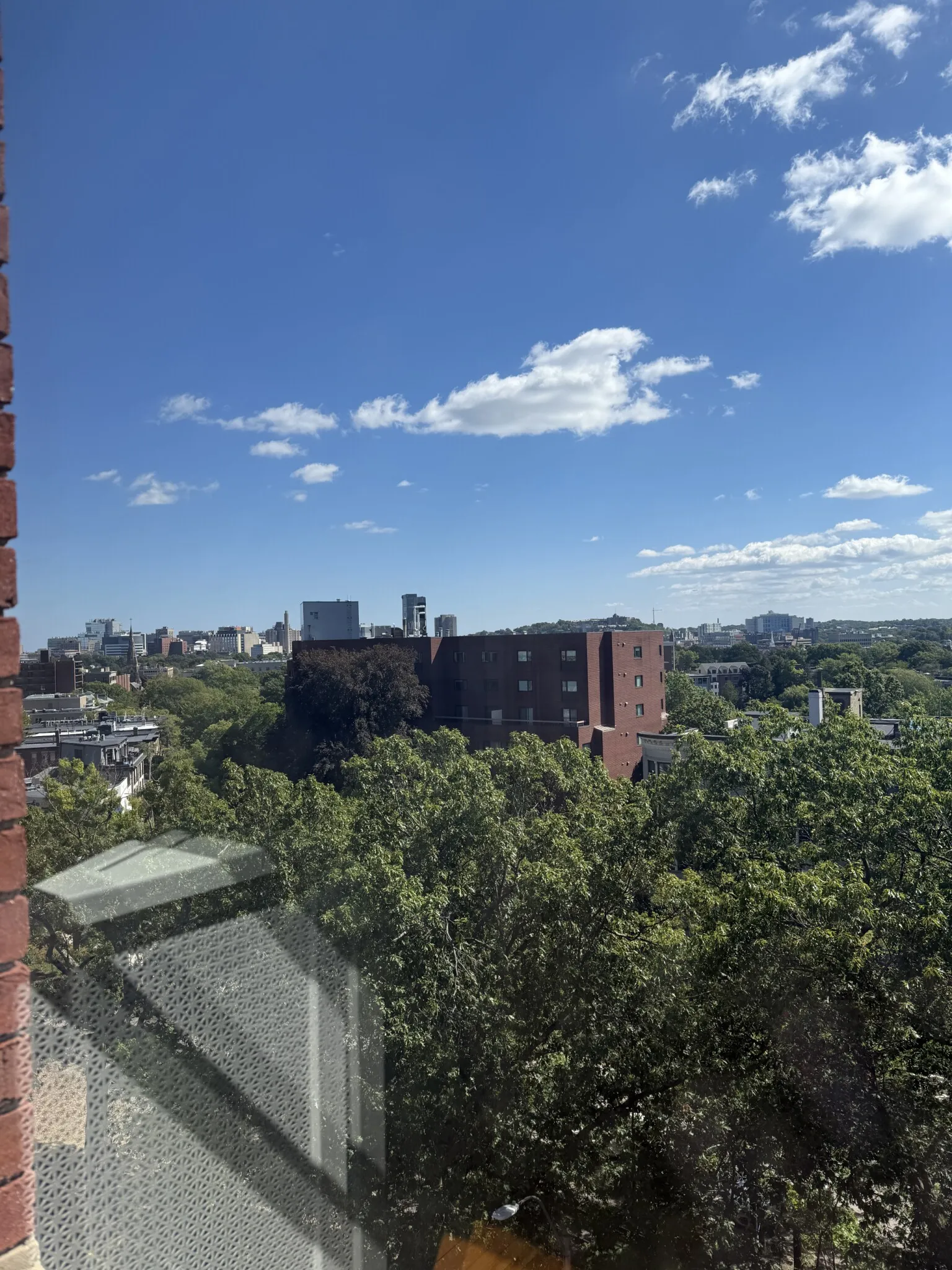 Studio bed, 1 bath apartment for rent at 1470 Beacon St Unit 69, Corey Hill — photo 16 of 33