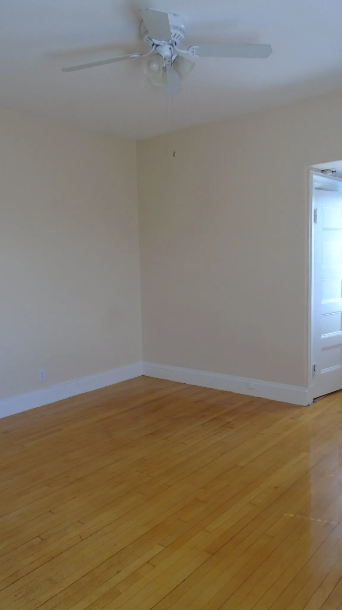 Studio bed, 1 bath apartment for rent at 1470 Beacon St Unit Apt. 68, Corey Hill — photo 4 of 25