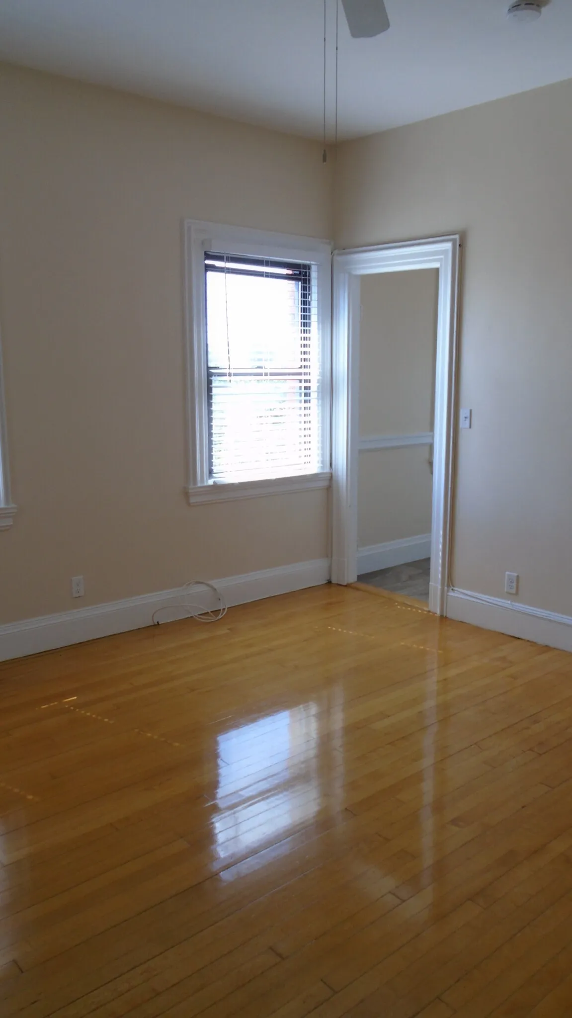 Studio bed, 1 bath apartment for rent at 1470 Beacon St Unit Apt. 68, Corey Hill — photo 5 of 25