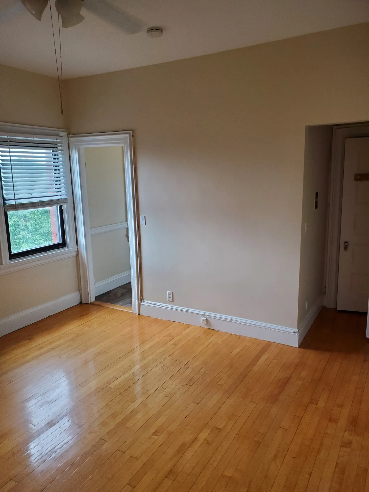 Studio bed, 1 bath apartment for rent at 1470 Beacon St Unit Apt. 68, Corey Hill — photo 13 of 25